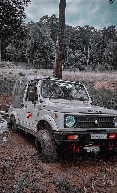 公牛伤病报告：科比·怀特&赫尔特、武切维奇今日可出战